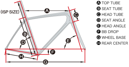 TCR ADVANCED SL 1_geometry