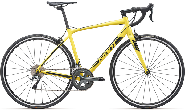 CONTEND 2 - 2019 GIANT Bicycles
