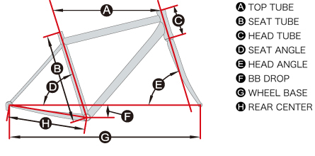 TCR ESPOIR 24_geometry
