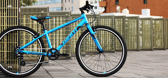 2019 GIANT Bicycles | YOUTH