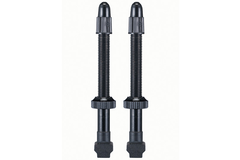 giant tubeless valve