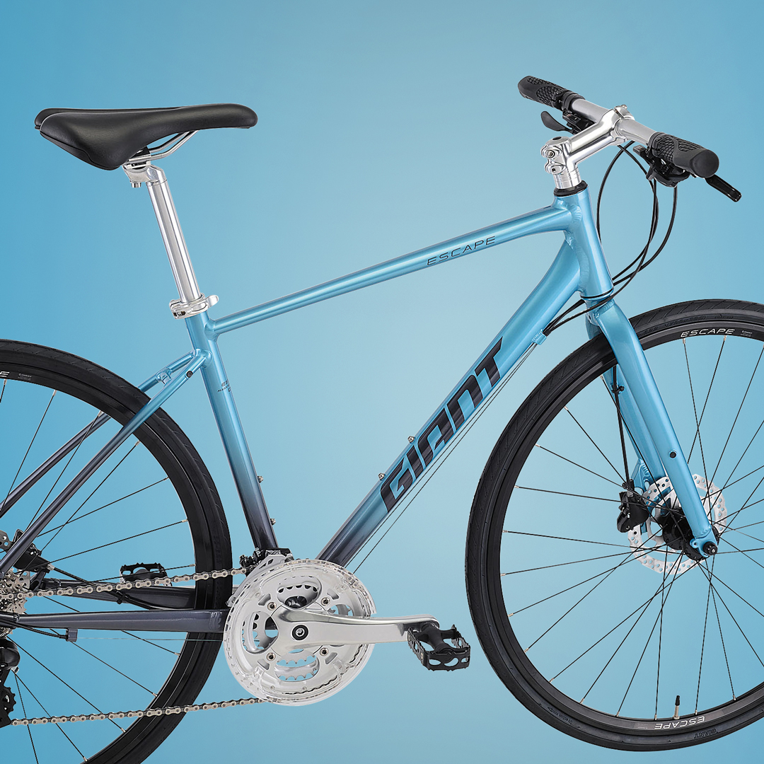 2020 GIANT Bicycles | ESCAPE R DISC (New 2021)