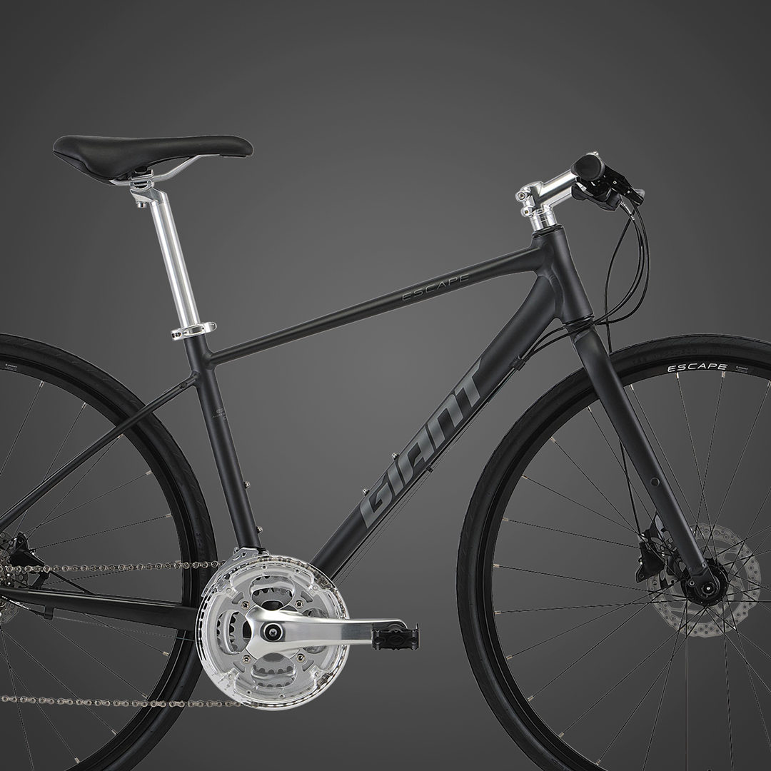 2020 GIANT Bicycles | ESCAPE R DISC (New 2021)