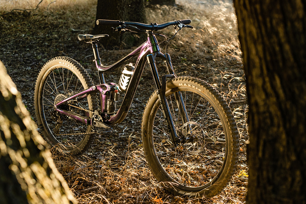 2020 GIANT Bicycles | REIGN 29ER 1