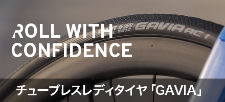 gavia ac 1