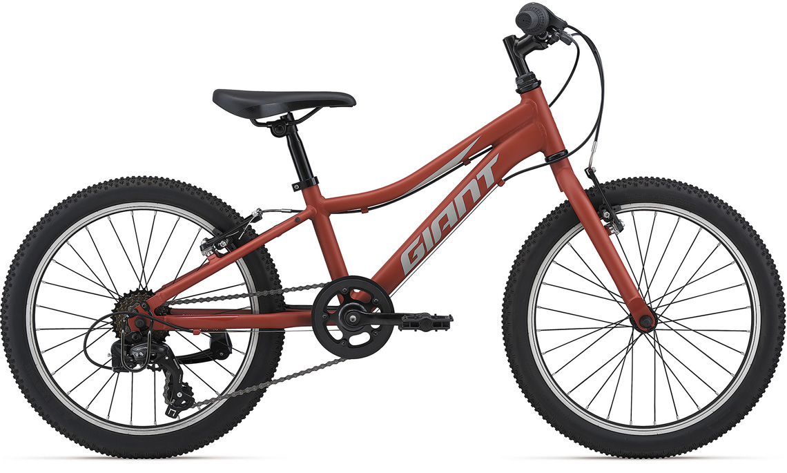 2021 GIANT Bicycles | XTC JR 20 LITE