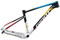 XTC ADVANCED SL 29ER LION PAEZ FRAME SET