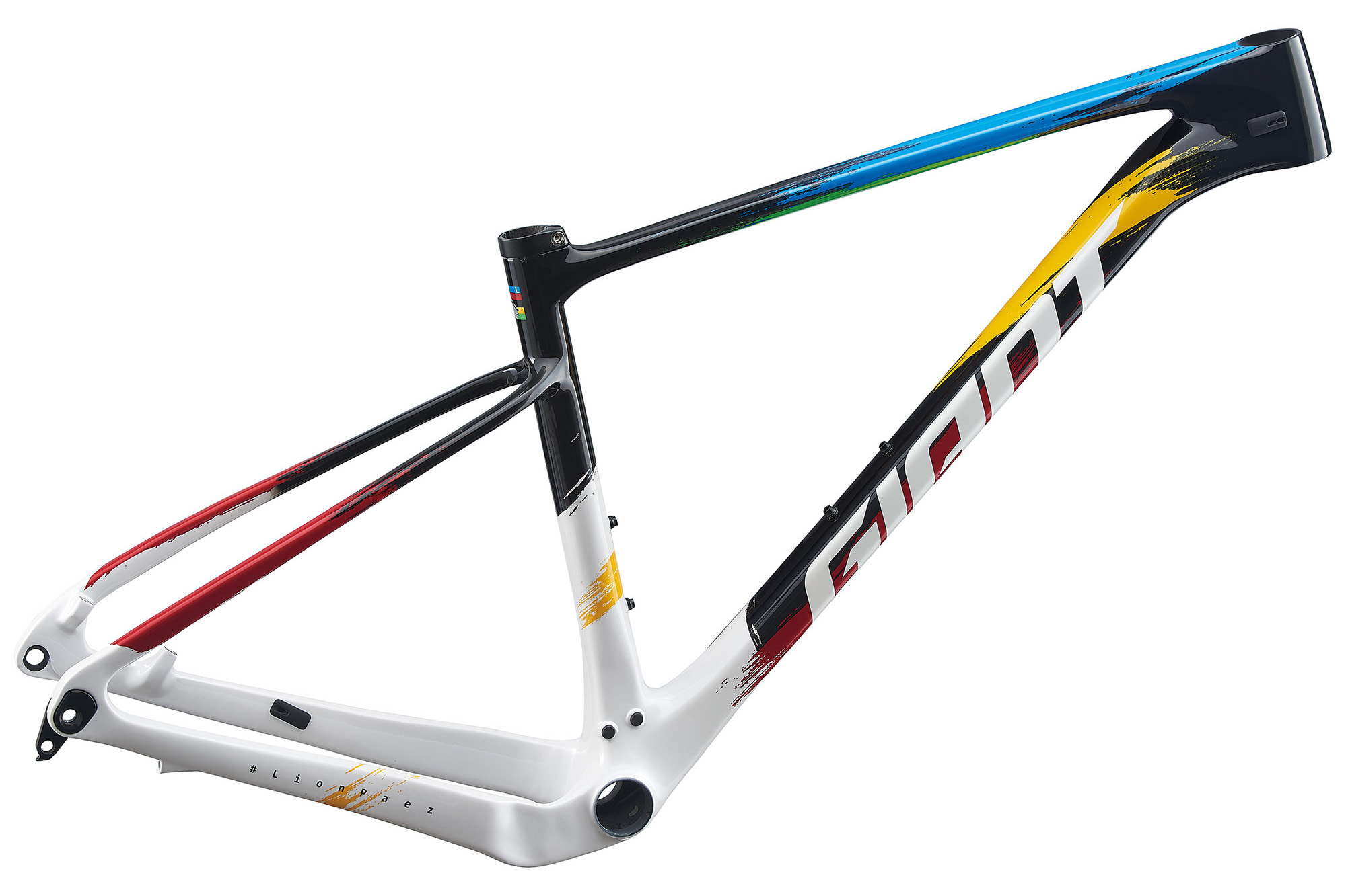 XTC ADVANCED SL 29ER LION PAEZ FRAME SET