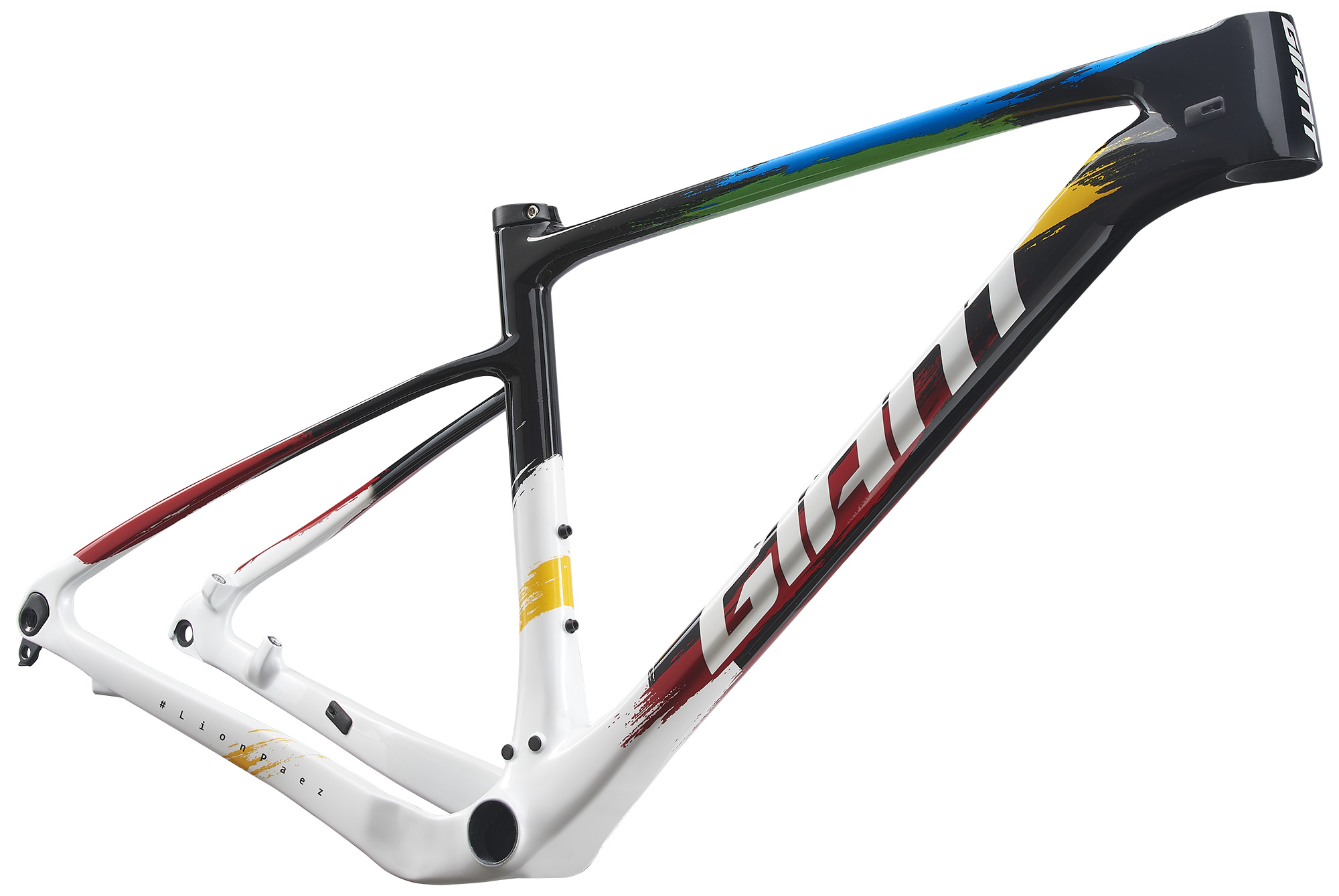 XTC ADVANCED SL 29ER LION PAEZ FRAME SET