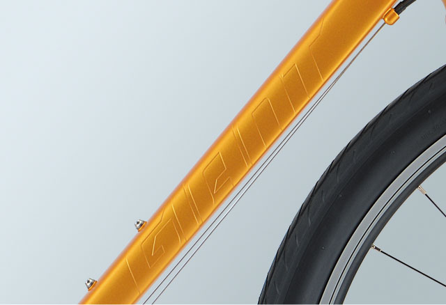 2021 GIANT Bicycles | GRAVIER