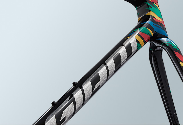 2021 GIANT Bicycles | TCR ADVANCED SL DISC LTD FRAME SET