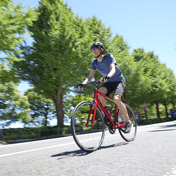 2022 GIANT Bicycles | ESCAPE RX 3