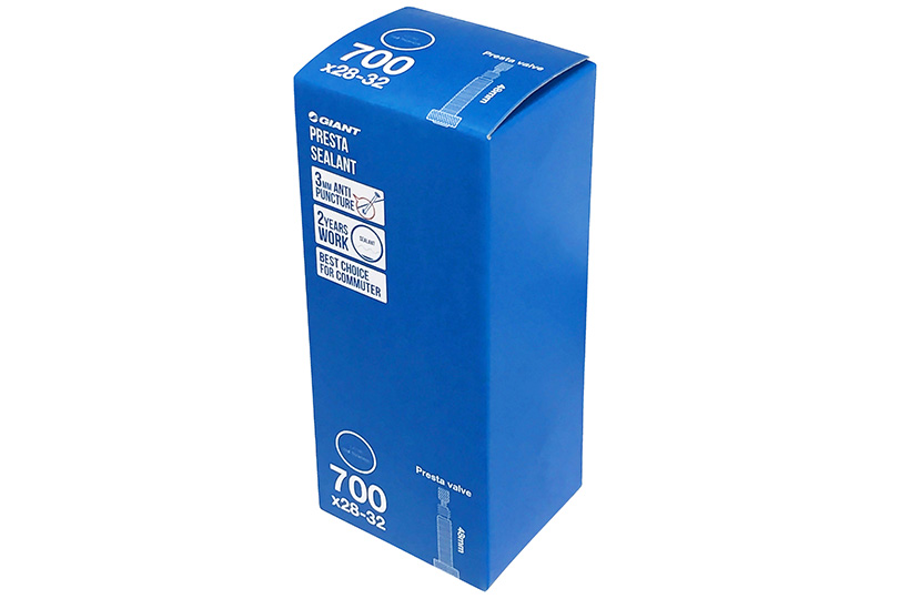 giant easy ride tubeless