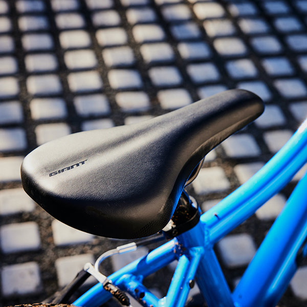 2024 GIANT Bicycles | XTC JR 20 LITE